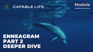 Main image of Enneagram pic. Dolphin diving deep.